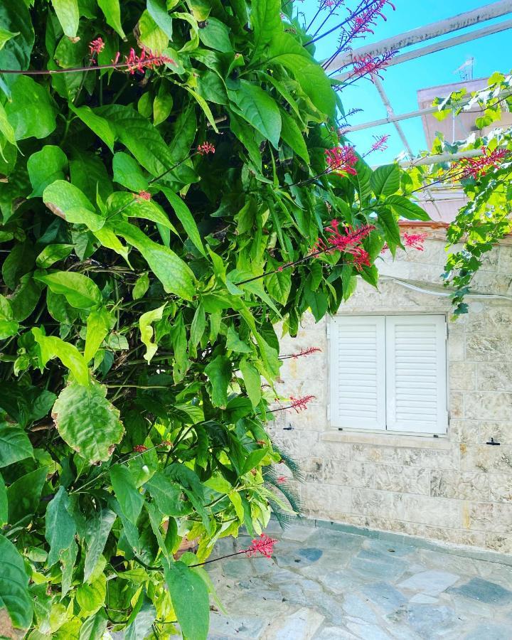 Little Cottage Athen Eksteriør billede